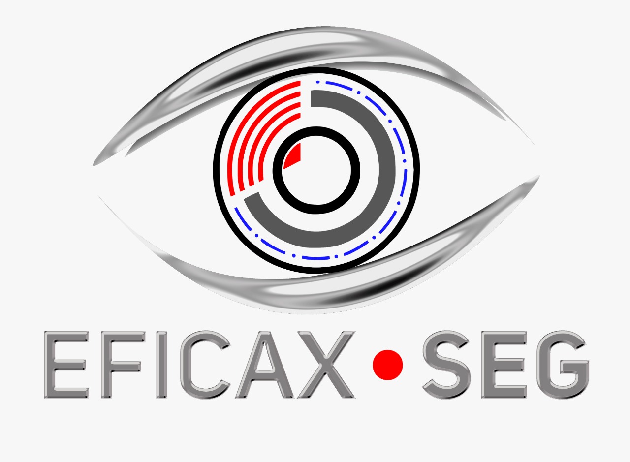 Eficax seg
