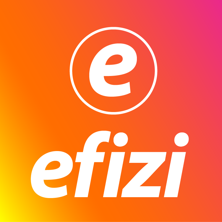 EFIZI AZU COMERCIO LTDA
